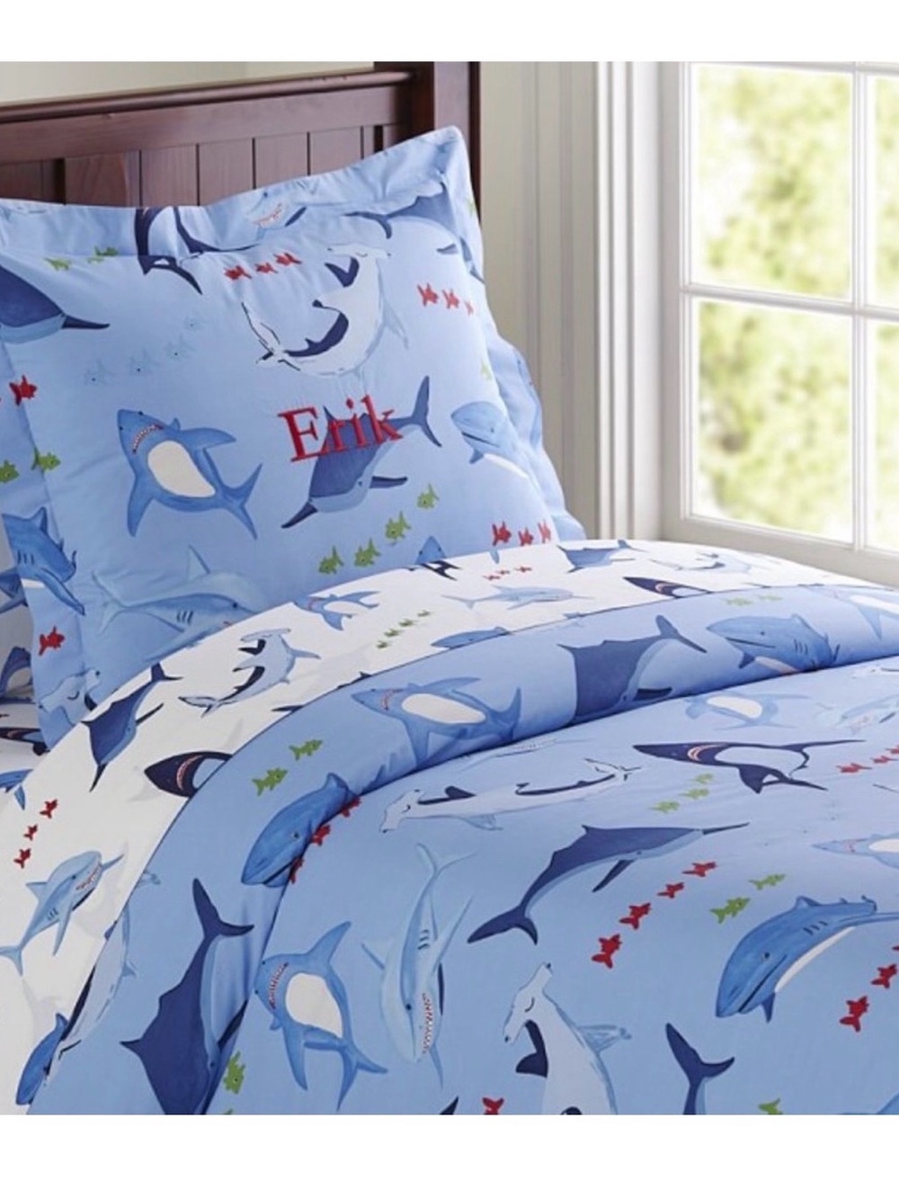 POTTERY BARN Kids Twin Shark Duvet & 2 Pillowcases | Organic Cotton